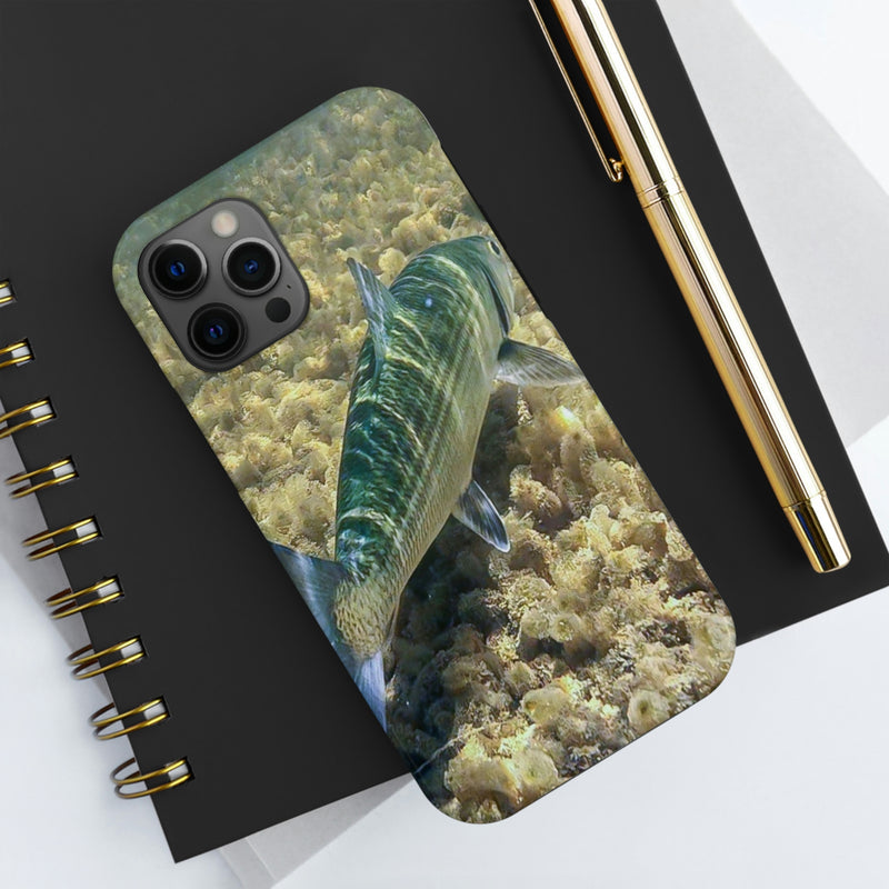 Stripe Bass Phone Case