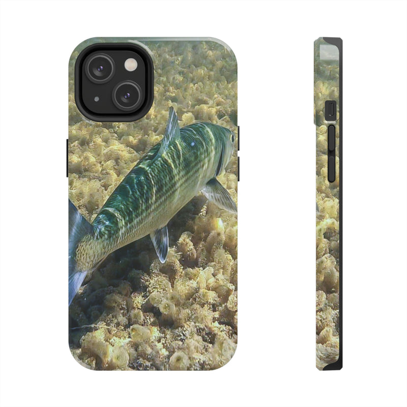 Stripe Bass Phone Case