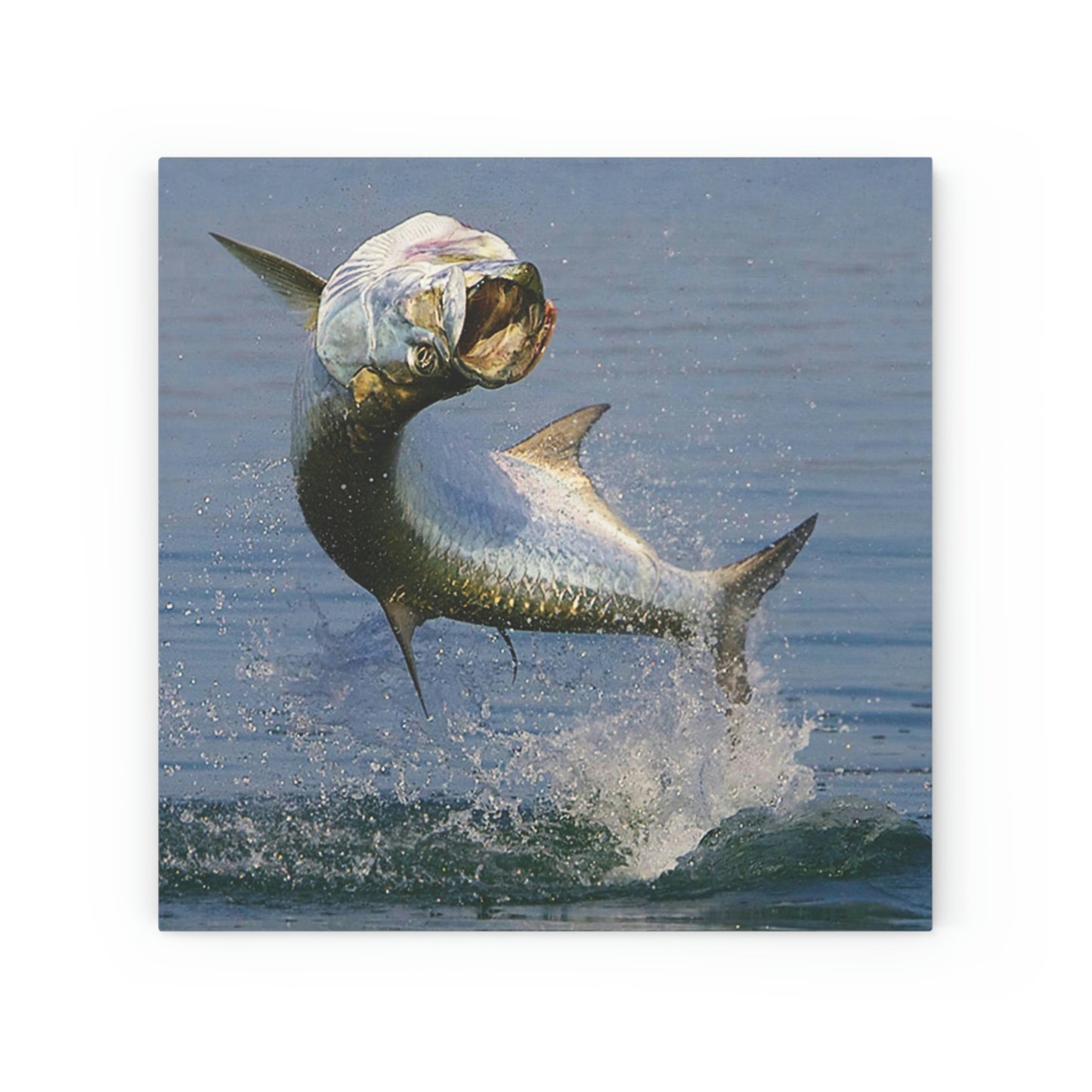 Beautiful Tarpon Fish Jumping on wood canvas