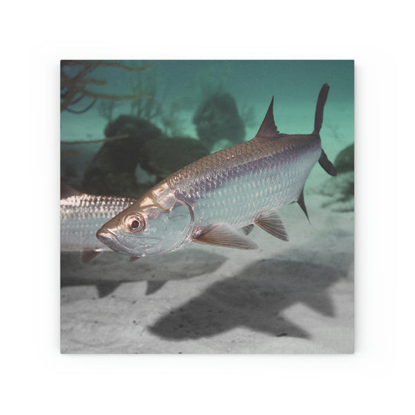 Beautiful picture on Wood Canvas of Tarpon Fish