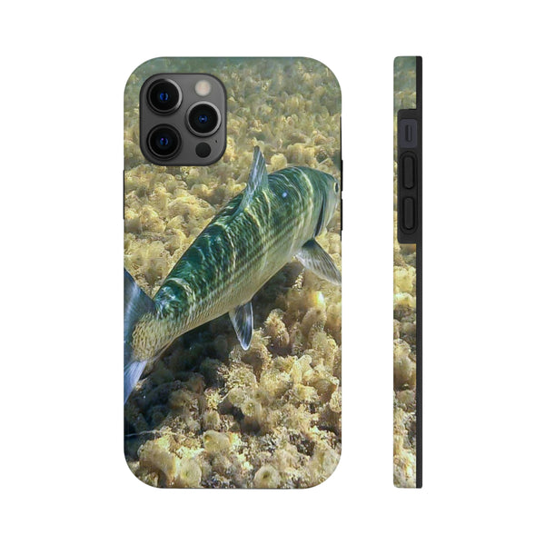 Stripe Bass Phone Case