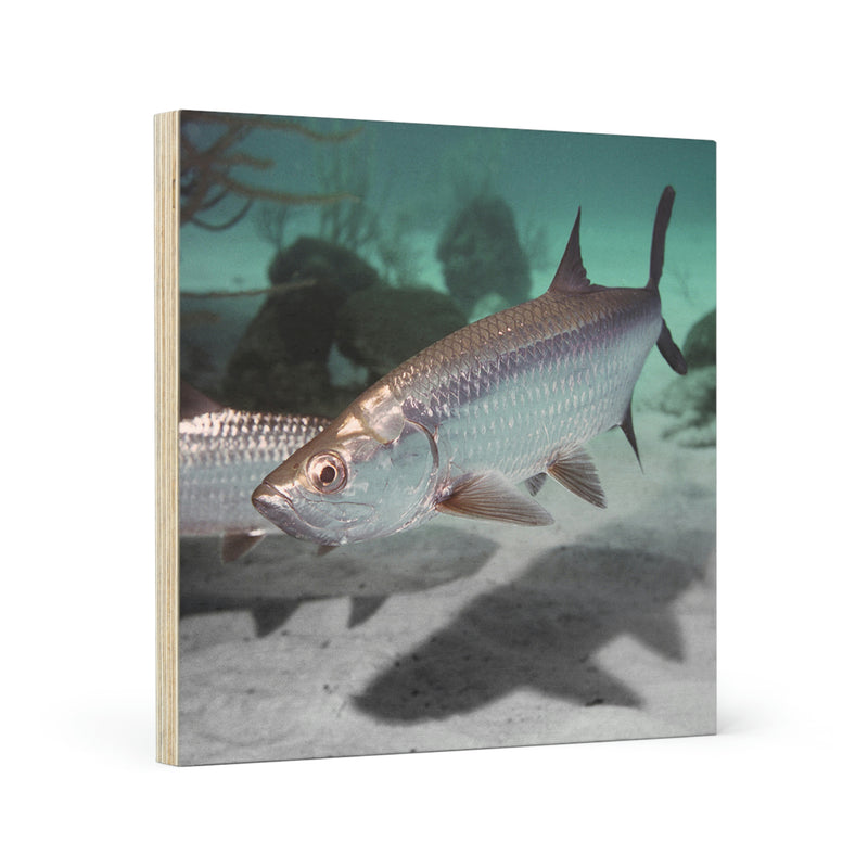 Beautiful picture on Wood Canvas of Tarpon Fish